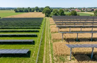 Luftbild einer Agri-PV-Anlage: Module über Grünland und über einem Getreidefeld