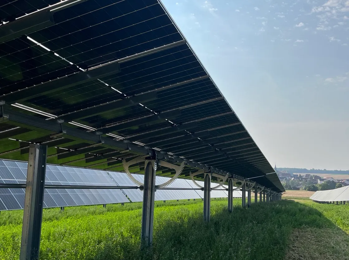 Aufgeständerte Agri-PV-Reihe von unten, darunter blühende Begrünung, im Hintergrund ein Dorf