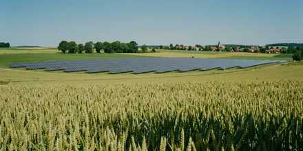 Freiflächen-Solaranlage an einem Hang hinter einem reifenden Getreidefeld, dahinter ein Dorf mit Kirchturm