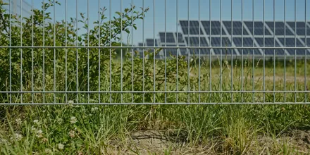 Zaun einer Solaranlage von außen, davor Gras und Wildkraut, dahinter die Modulreihen