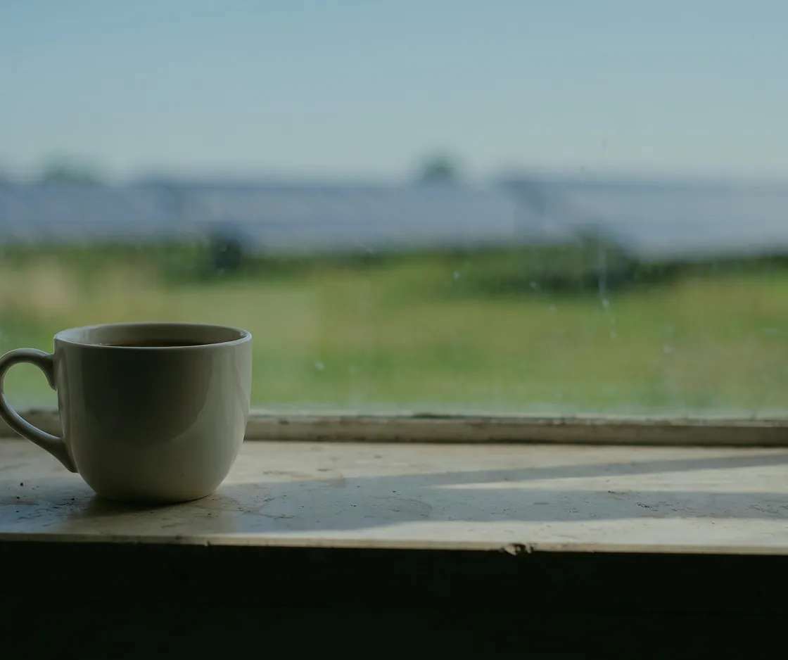 Tasse Kaffee auf einer alten Fensterbank, draußen eine Wiese mit einer Reihe von Solarmodulen