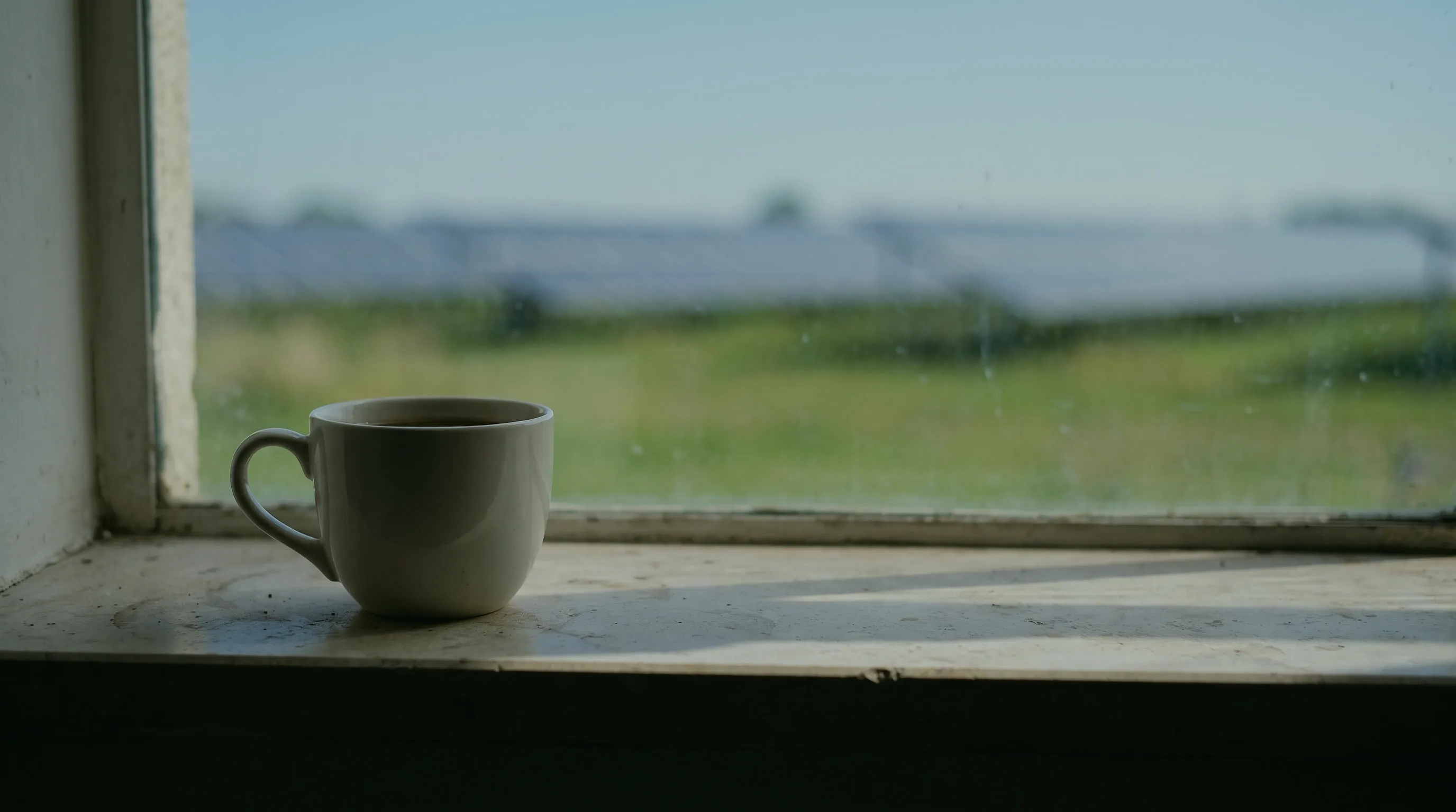 Tasse Kaffee auf einer alten Fensterbank, draußen eine Wiese mit einer Reihe von Solarmodulen